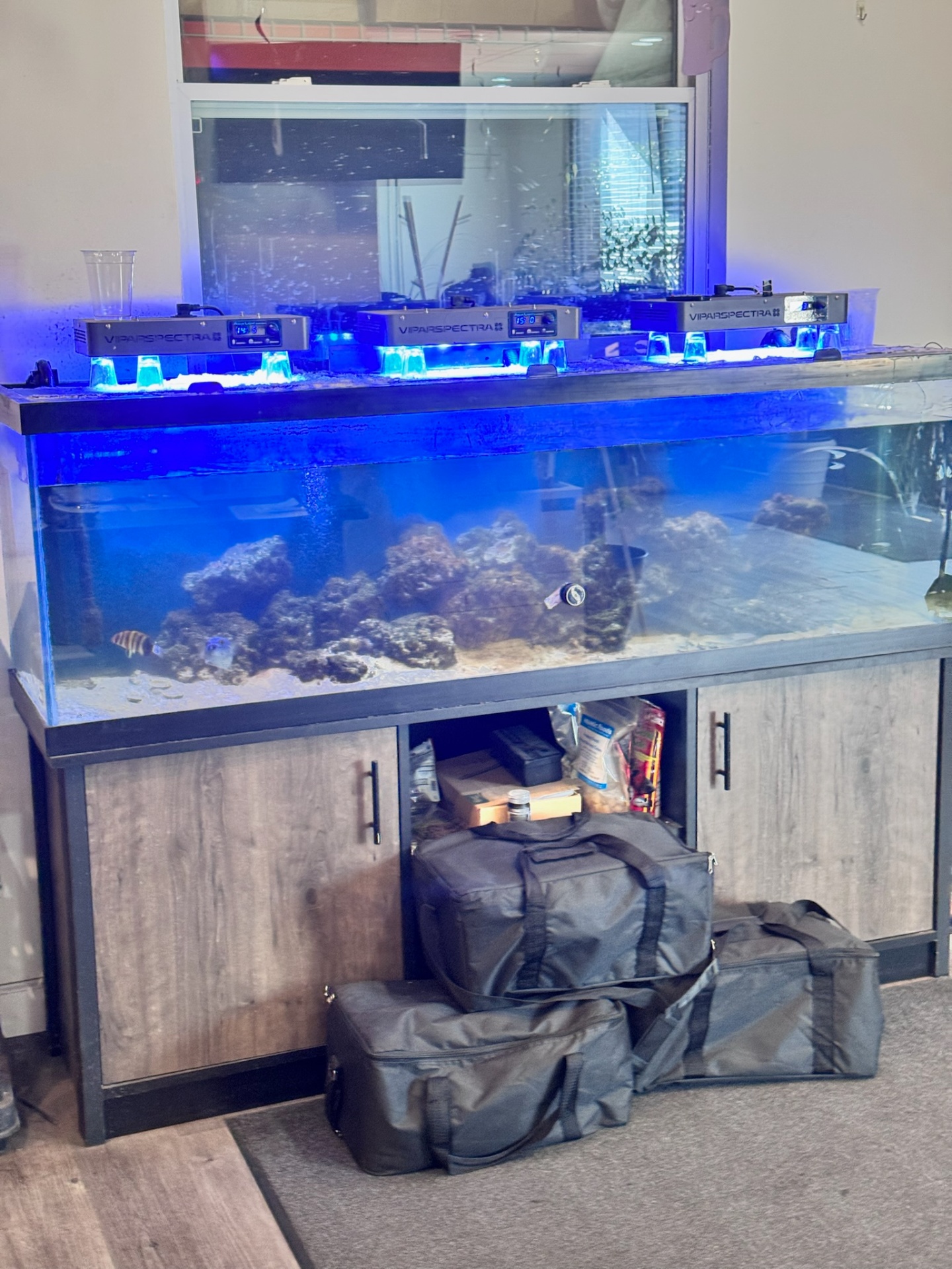 Aquarium Display — Glass Polish