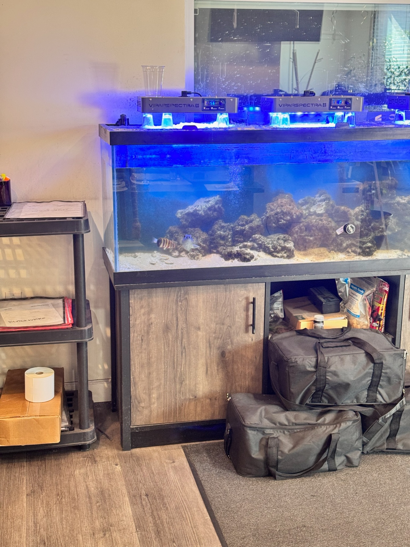 Aquarium Display — Cabinet Reset