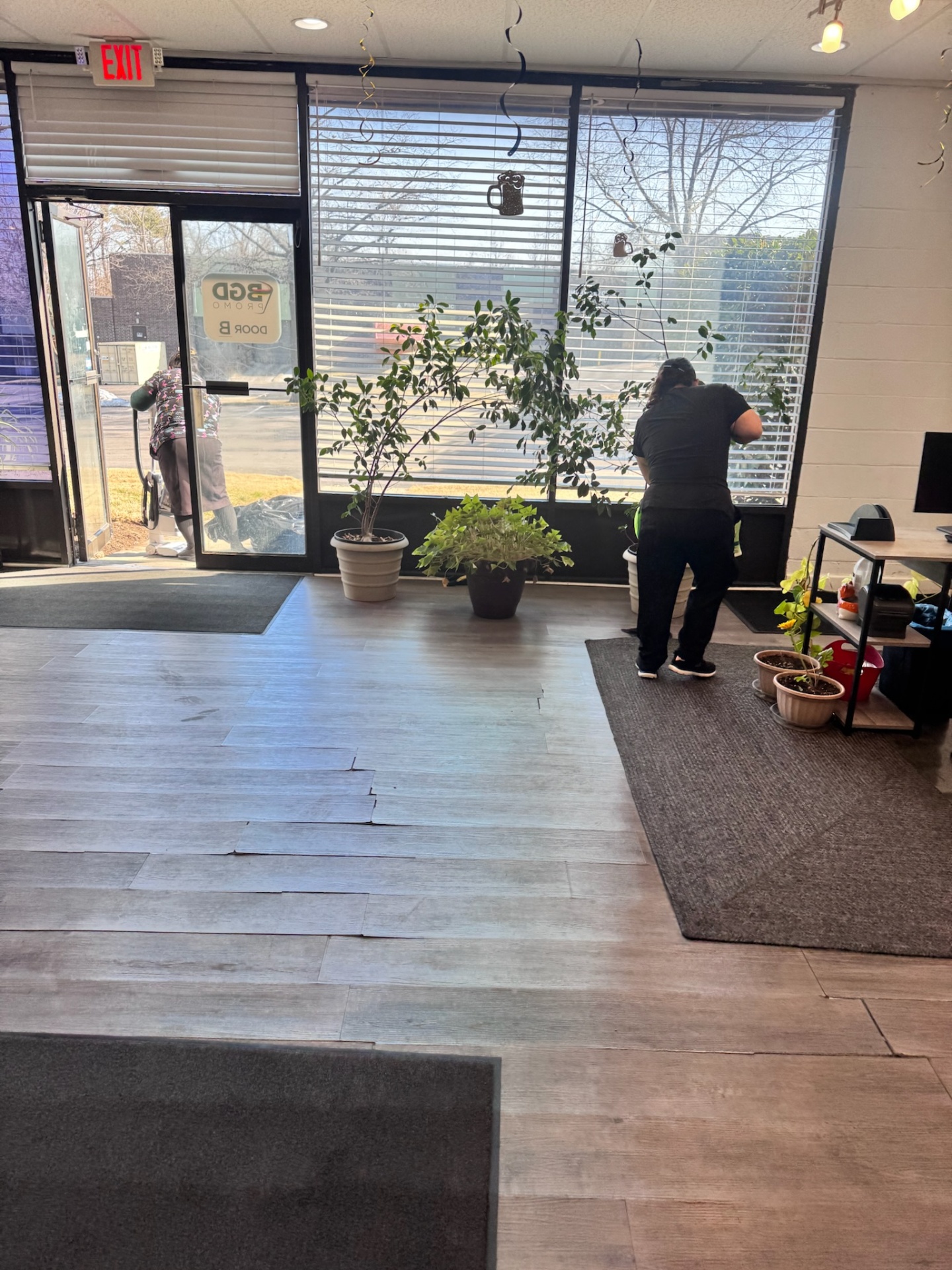 Office Lobby — Windows & Blinds
